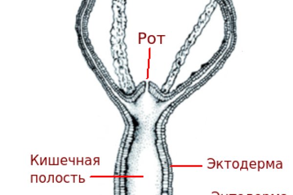 Сайт кракен рабочая ссылка