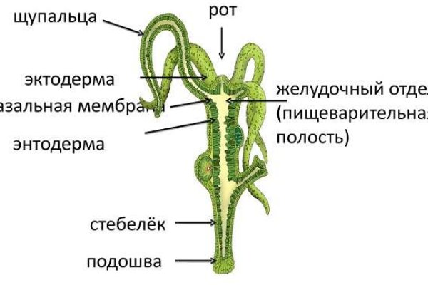 Что такое кракен только через тор
