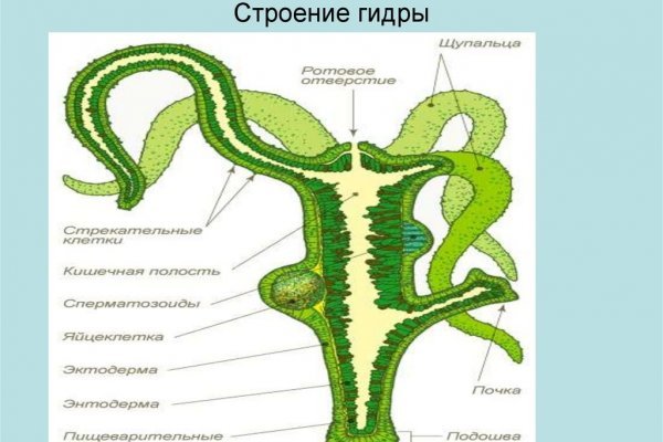 Восстановить аккаунт на кракене